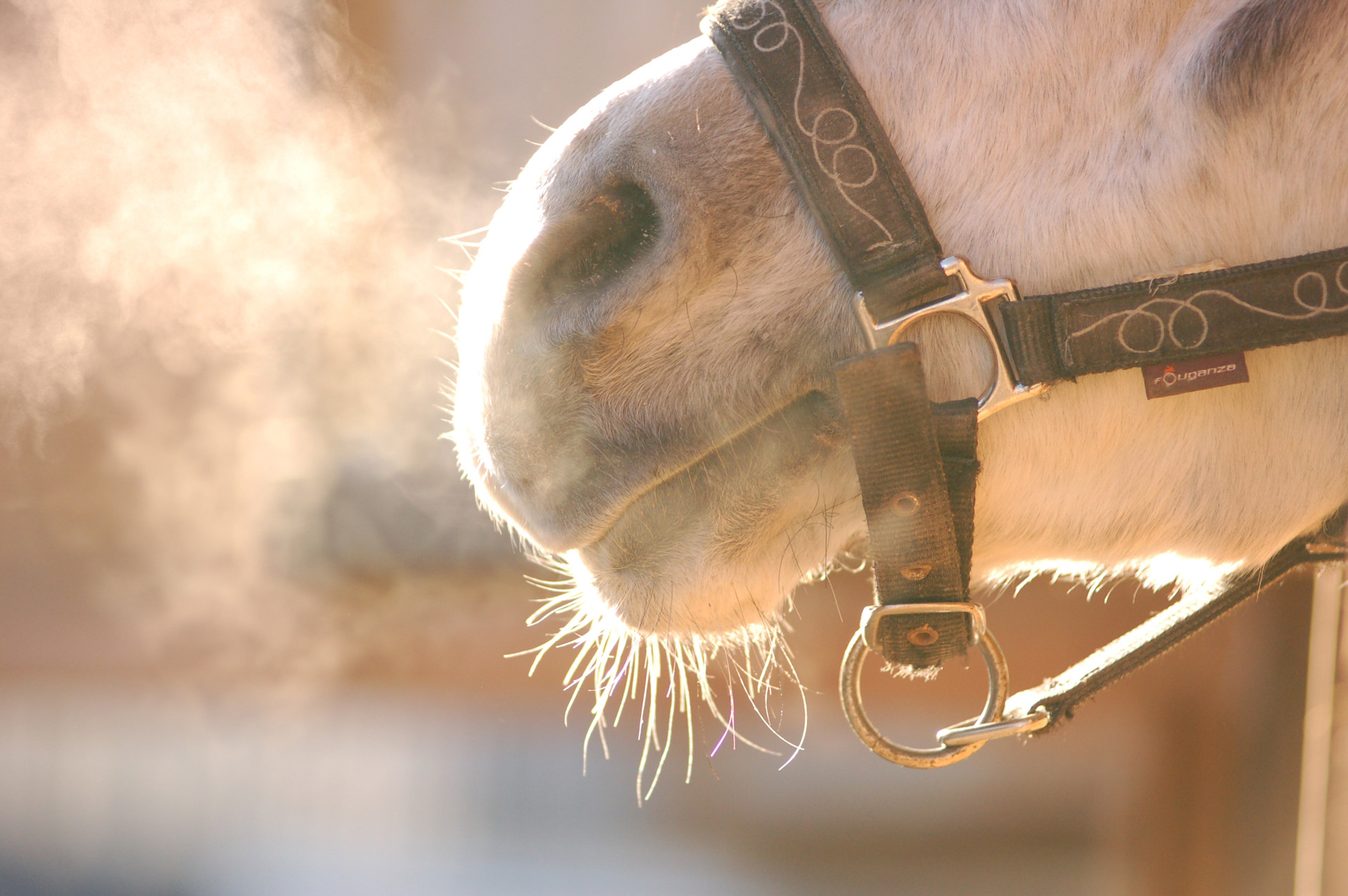 Background image - Istock 510538111