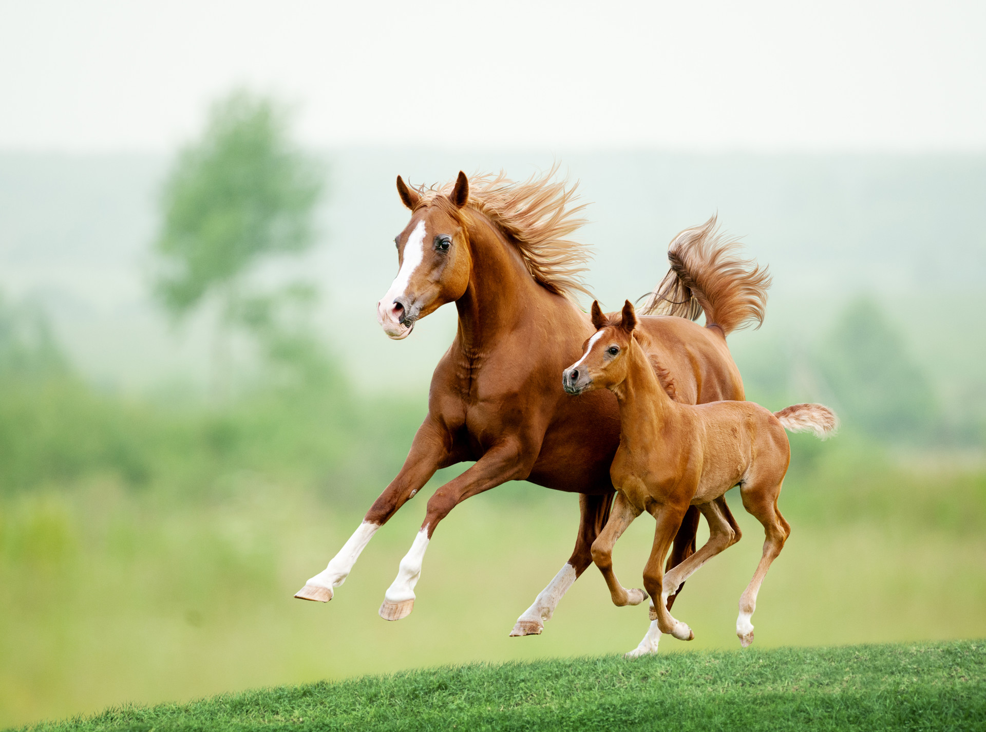 Background image - Shutterstock 289998656
