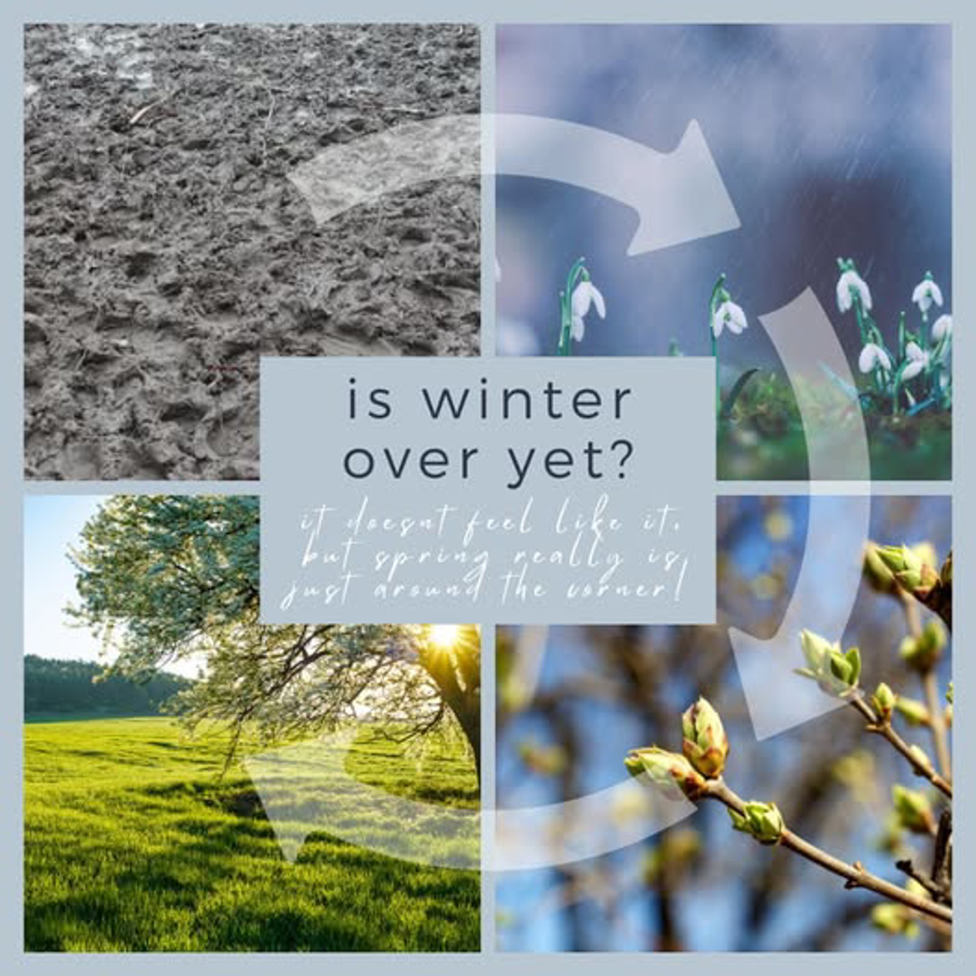 Background image - 628457838 1391714266310244 3150669229589681561 N