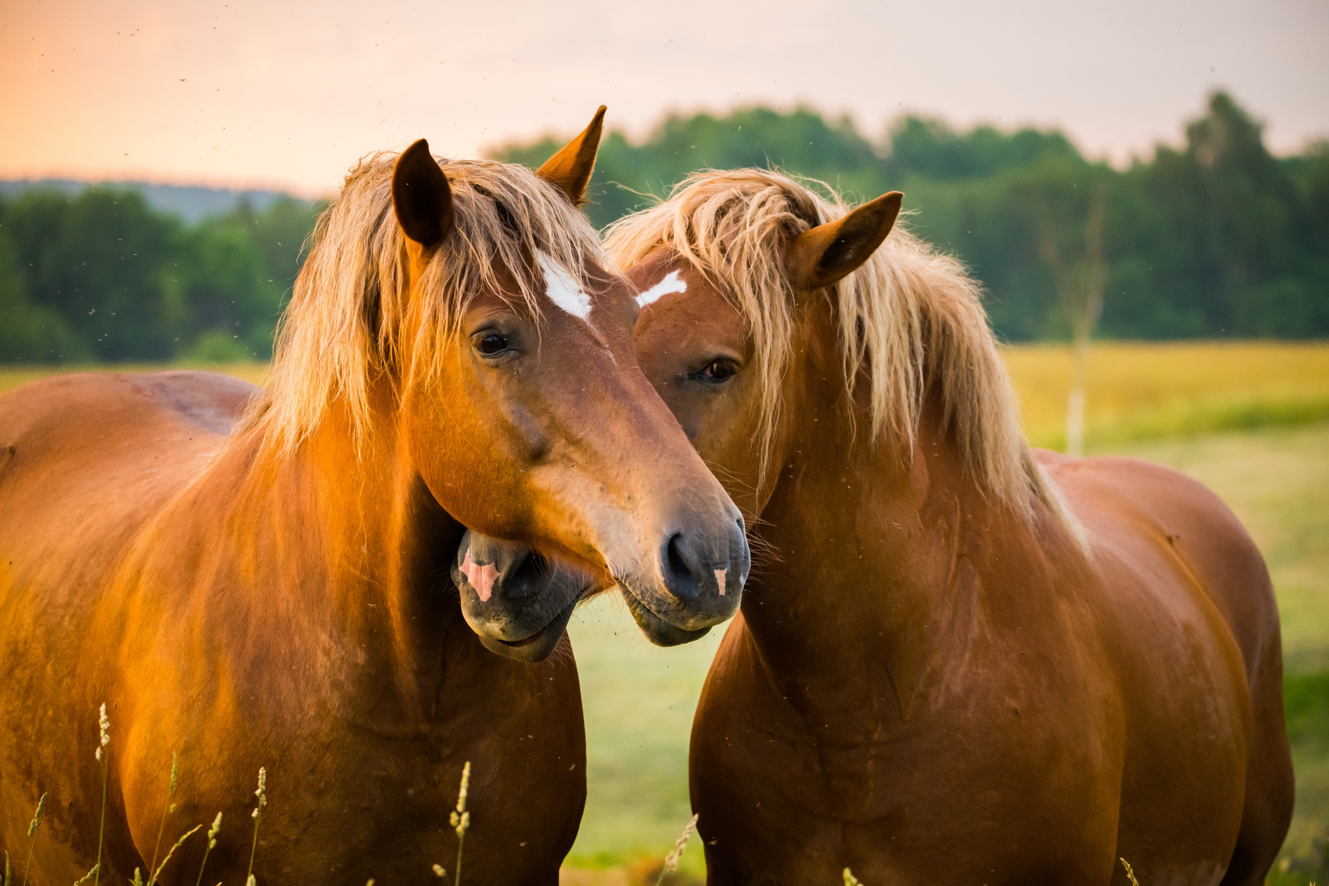 Background image - Istock 1318629326