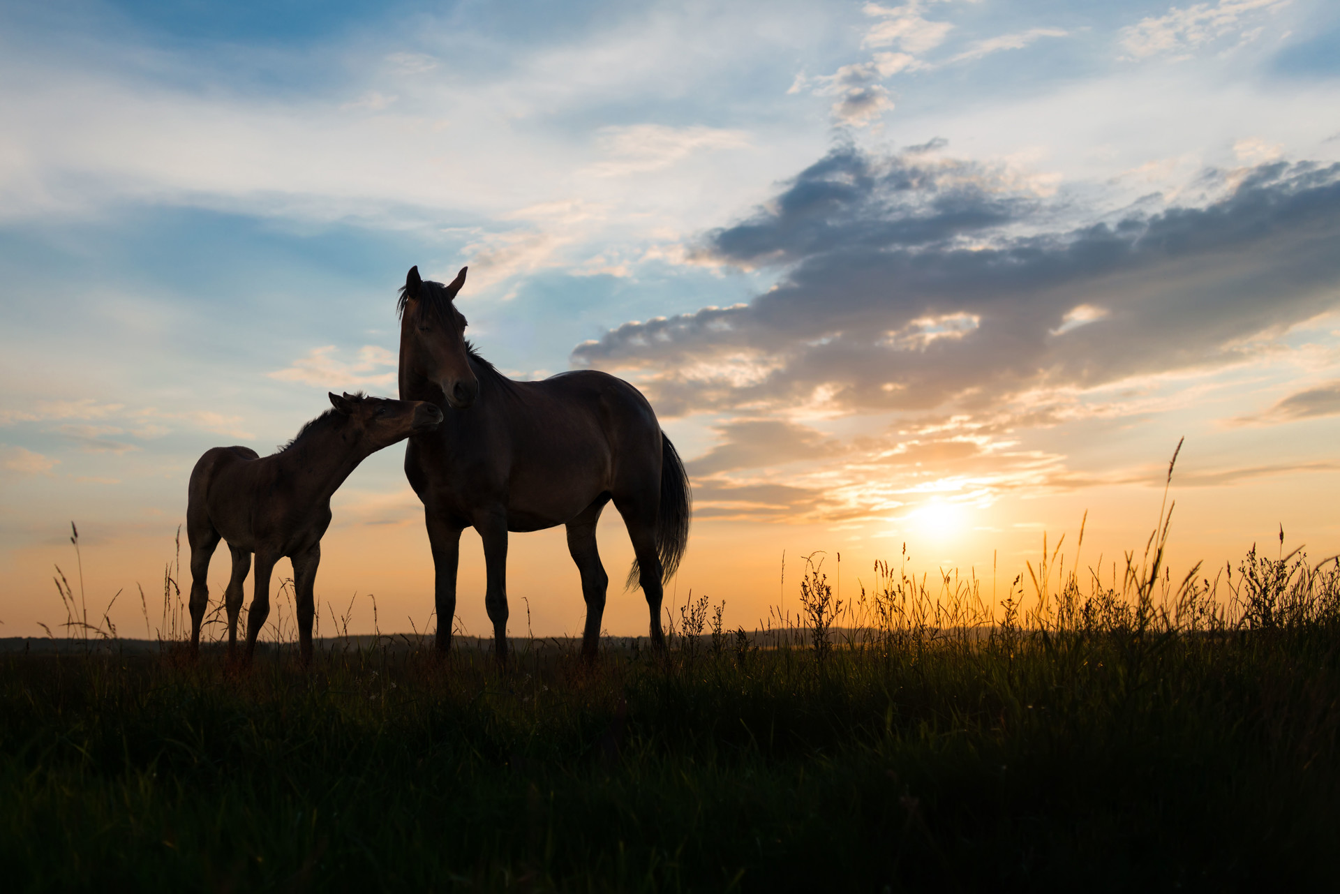Background image - Istock 476725945