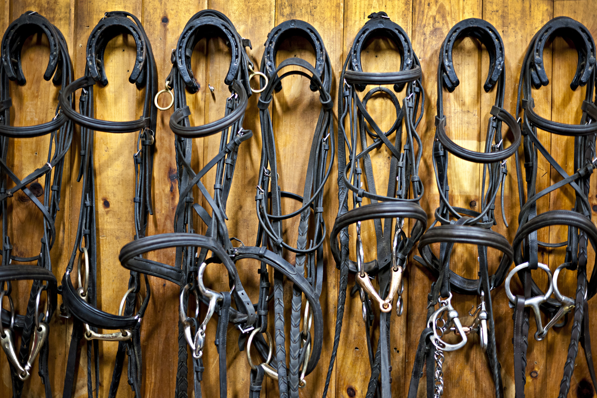 Background image - iStock-460899921