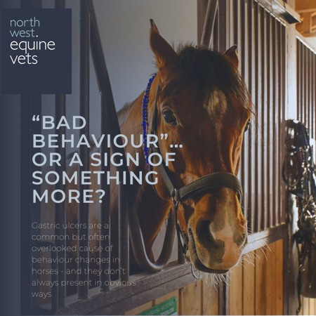 Copy Of To Wash Or Not To Wash You Legs (2)