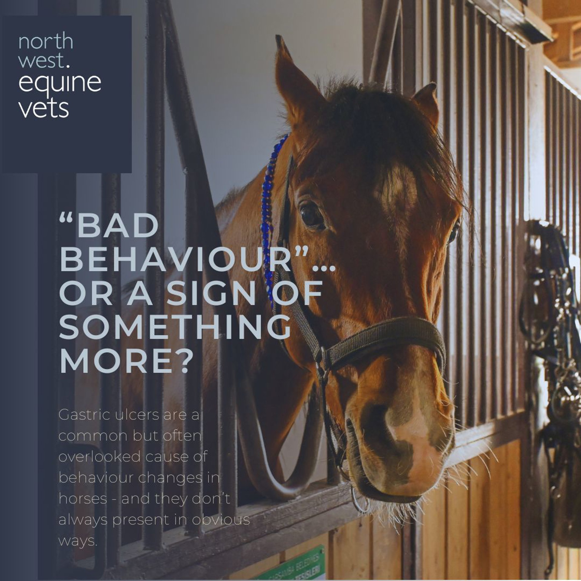 Background image - Copy Of To Wash Or Not To Wash You Legs (2)