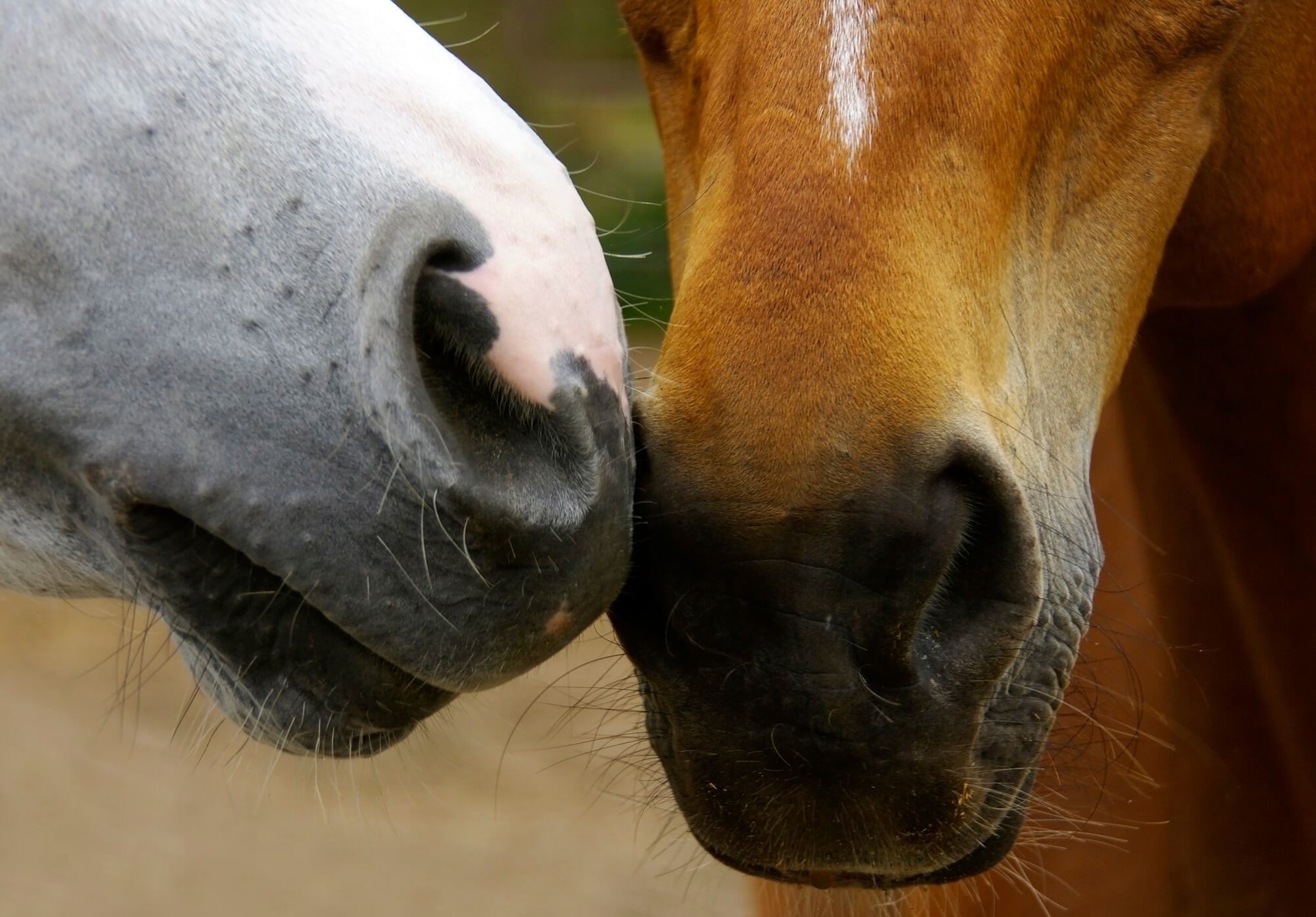 Istock 000016709297 Large