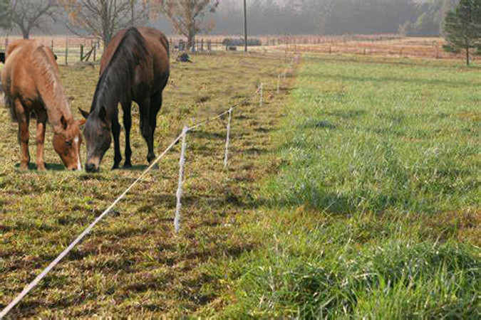 Bare Paddock V Grassy Copy