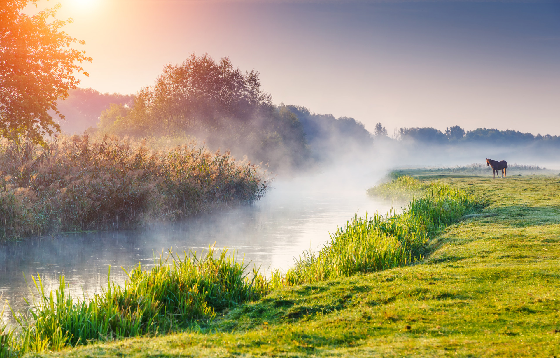 Background image - Shutterstock 220342816