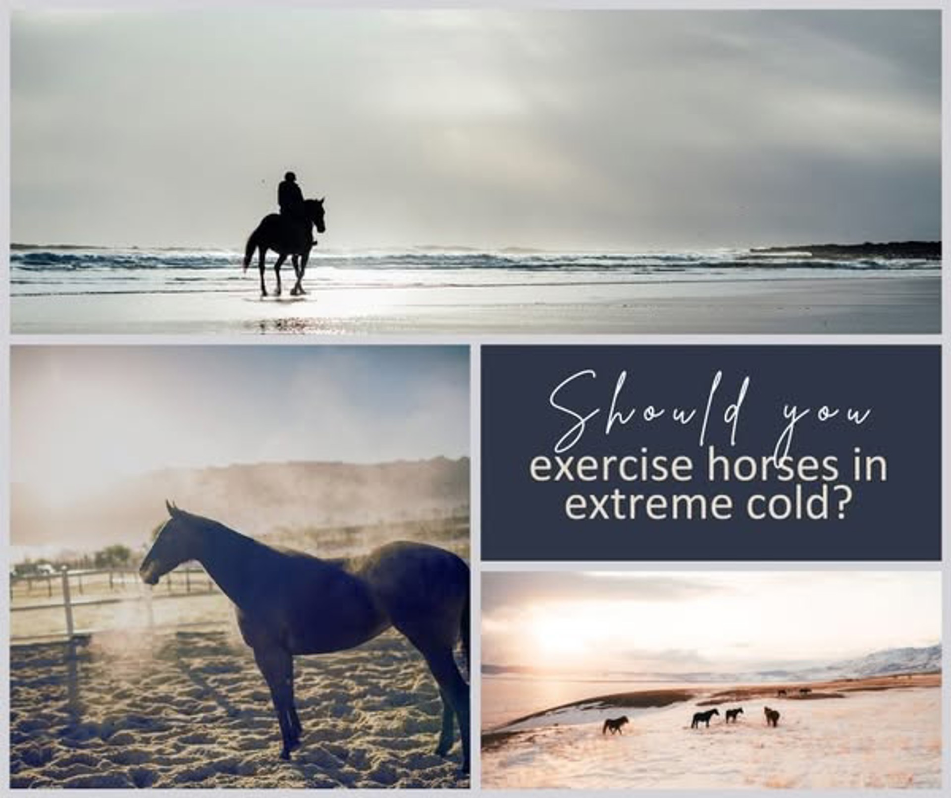 Background image - 612025579 1360178236130514 835044698777113554 N