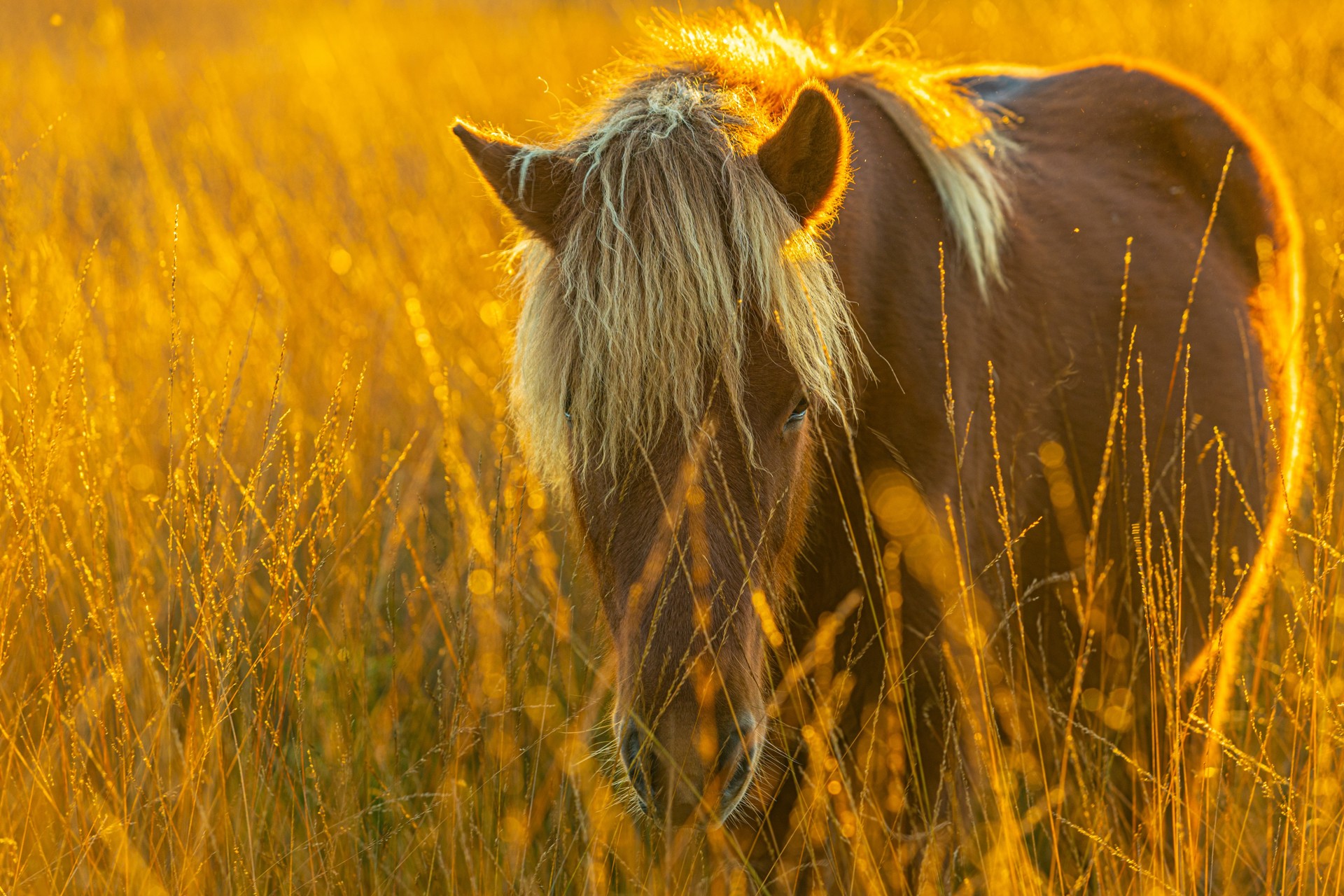 Background image - Berend Verheijen Uvgzinfbx8 Unsplash