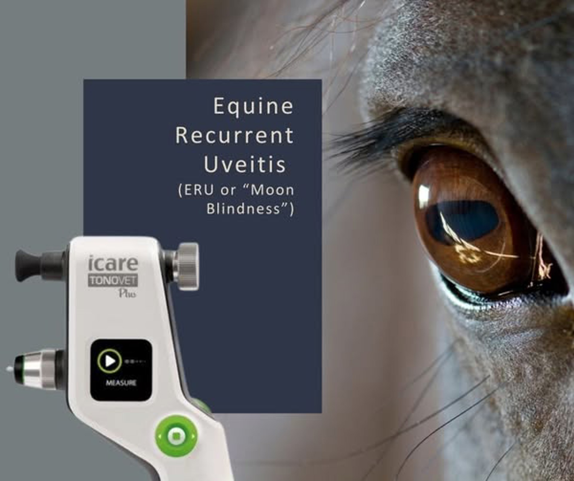 Background image - 602322983 1348278490653822 855701078643816551 N