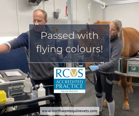 596464673 1337256221756049 5432866918904457496 N