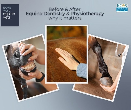 608204566 1355353193279685 968306452339041699 N