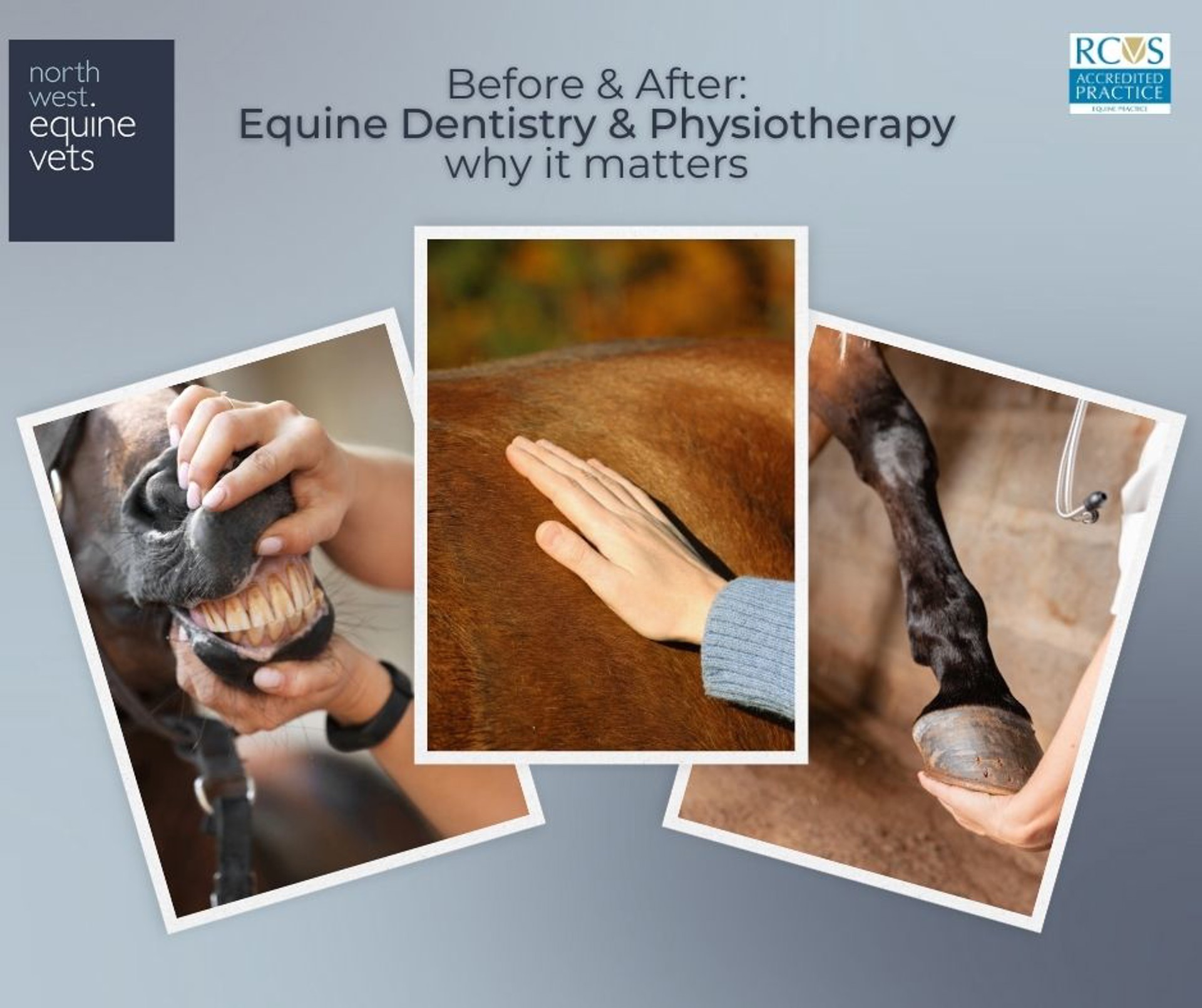 Background image - 608204566 1355353193279685 968306452339041699 N