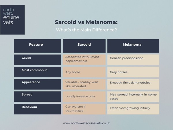 SARCOID V MELANOMA (3)