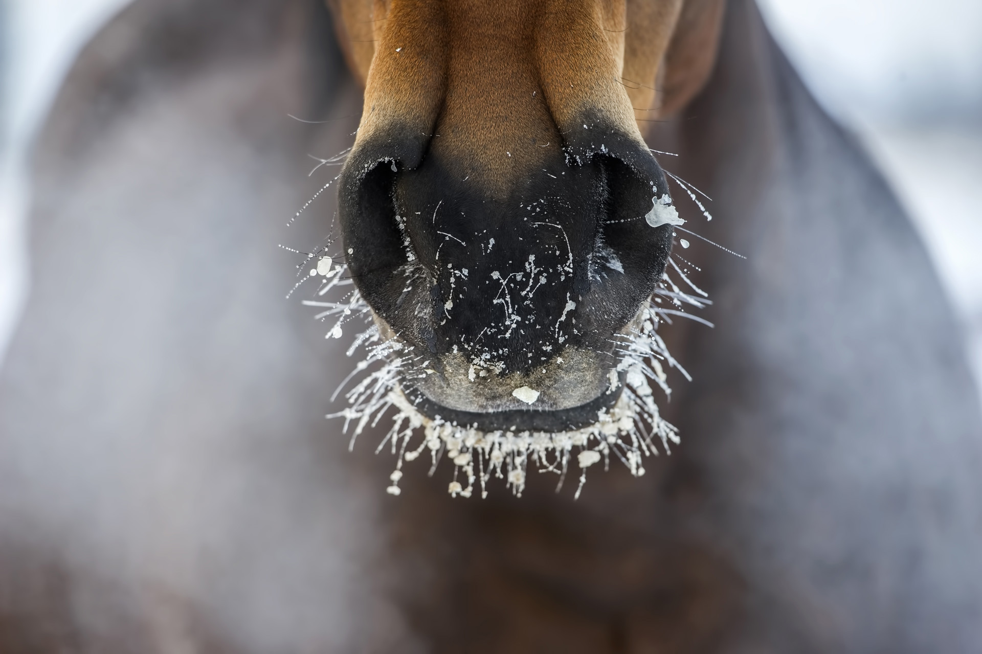 Background image - iStock-507168328