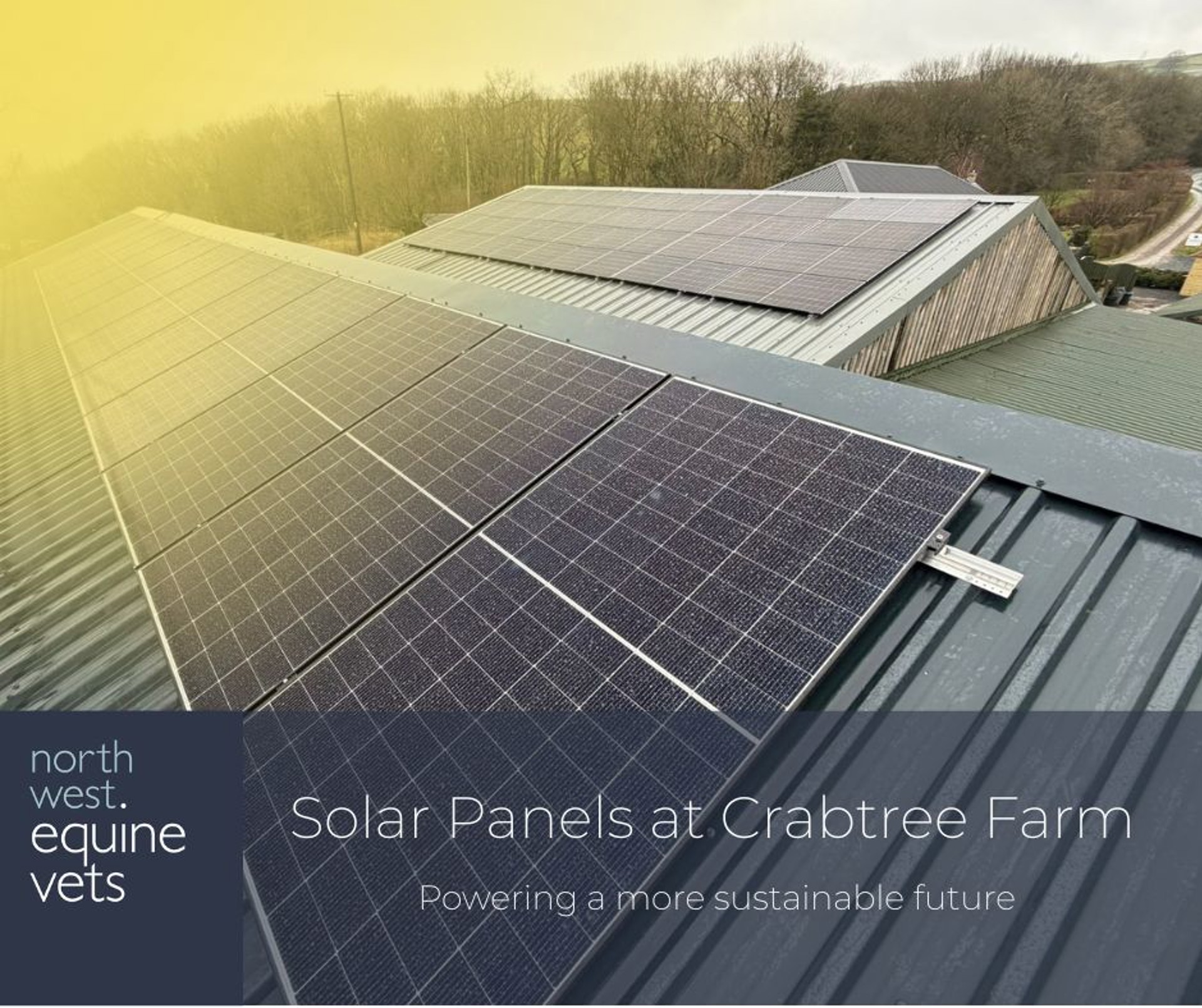 Background image - 616820478 1370868311728173 5619011252044003569 N