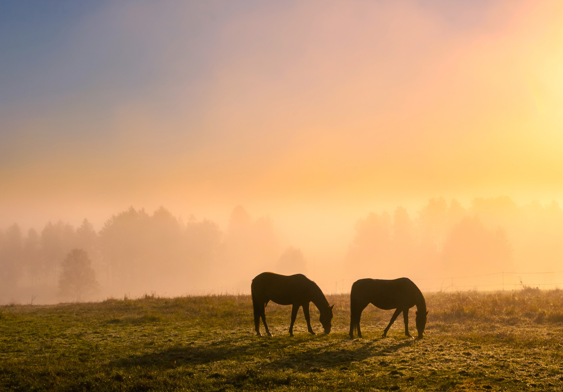 Background image - iStock-466613194a