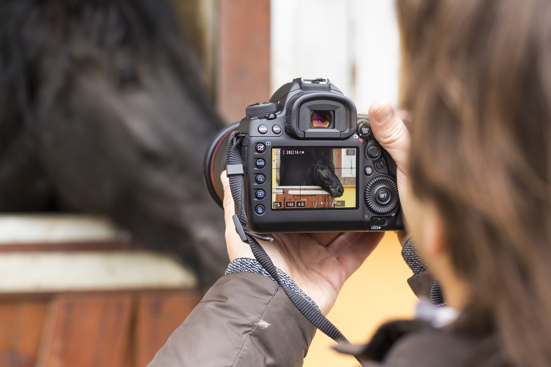 Background image - Istock 636158818 (1)