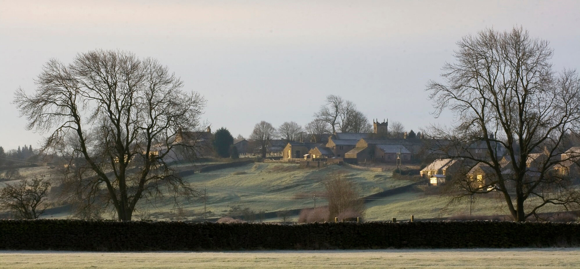 Img 0995 Crop